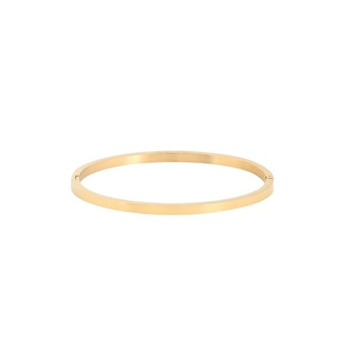 Pulseira rígida básica aço