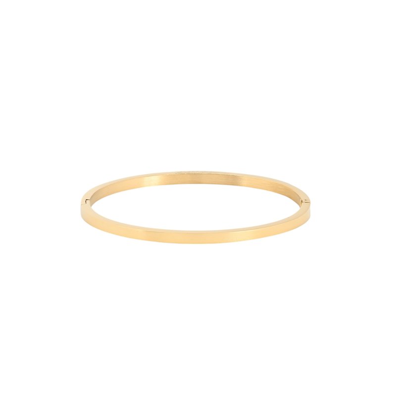 Pulseira rígida básica aço