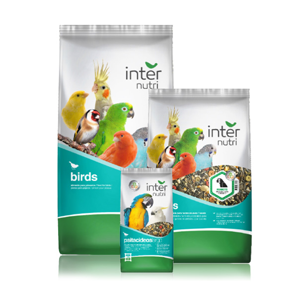 Mistura Para Caturras 1Kg