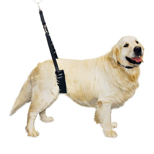 Cinta Grooming Traseira Comfort Show Tech - 48Cm