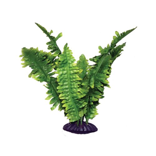 Decoração Planta - Boston Fern - 25Cm