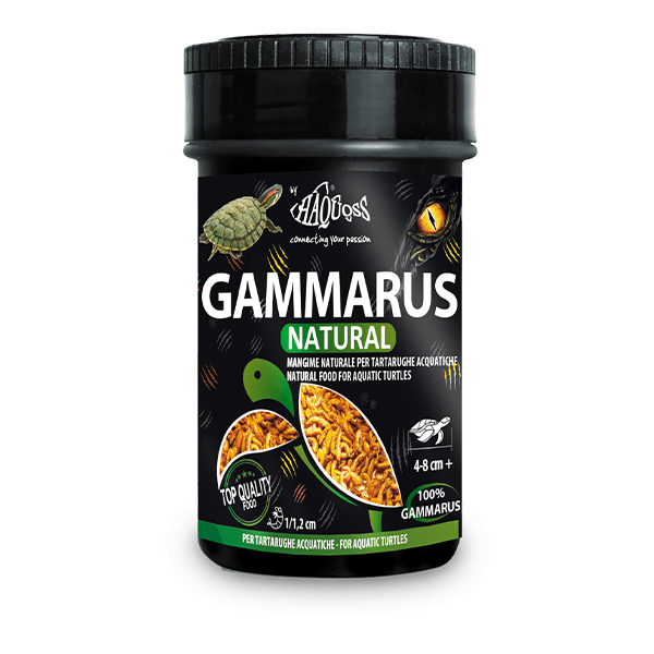 Alimento Tartarugas Haquoss Gammarus 100Ml / 15G - 15 Gr - 100 Ml