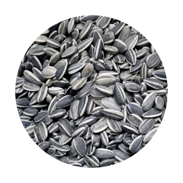 Girassol Raiado Miudo 800Gr