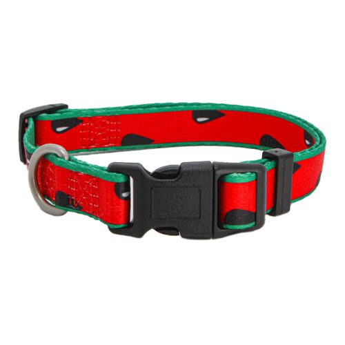 Coleira Nylon Watermelon - 20Mm X 35/65Cm - 20Mm X 35/65 Cm