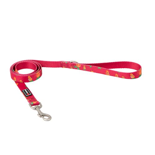 Trela Carrot 20Mm X 120Cm - 20Mm X 120 Cm