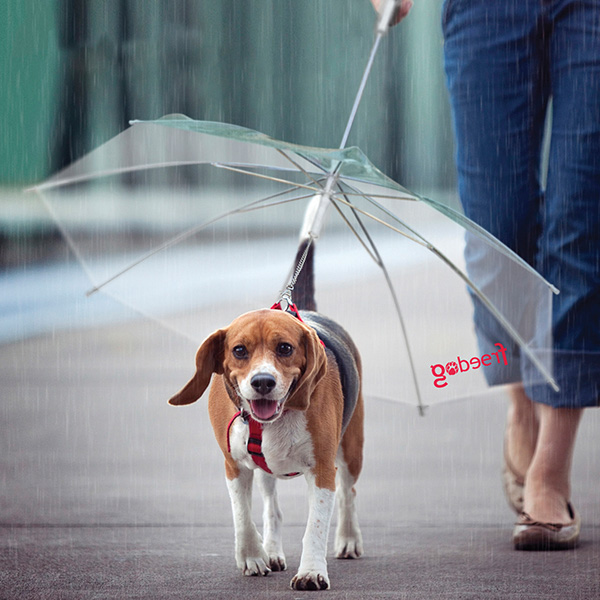 Guarda-Chuva 45Cm