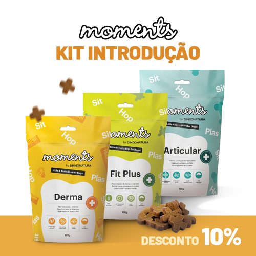 Kit Introdução - Moments Funcionais