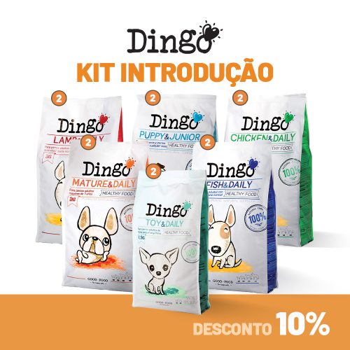 Kit Introdução - Dingo