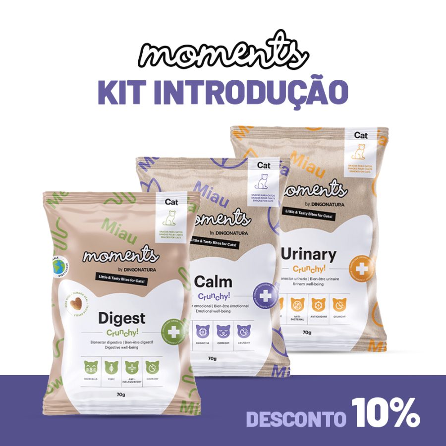 Kit Introdução - Moments Gato
