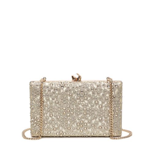 Pochette de senhora com brilhantes