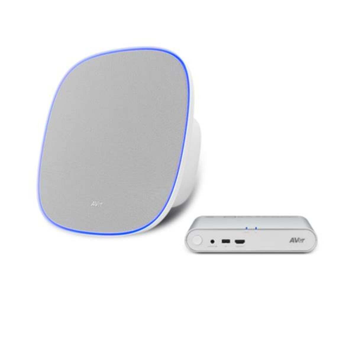 Cabo USB AVer 61U6300000AC Cinzento