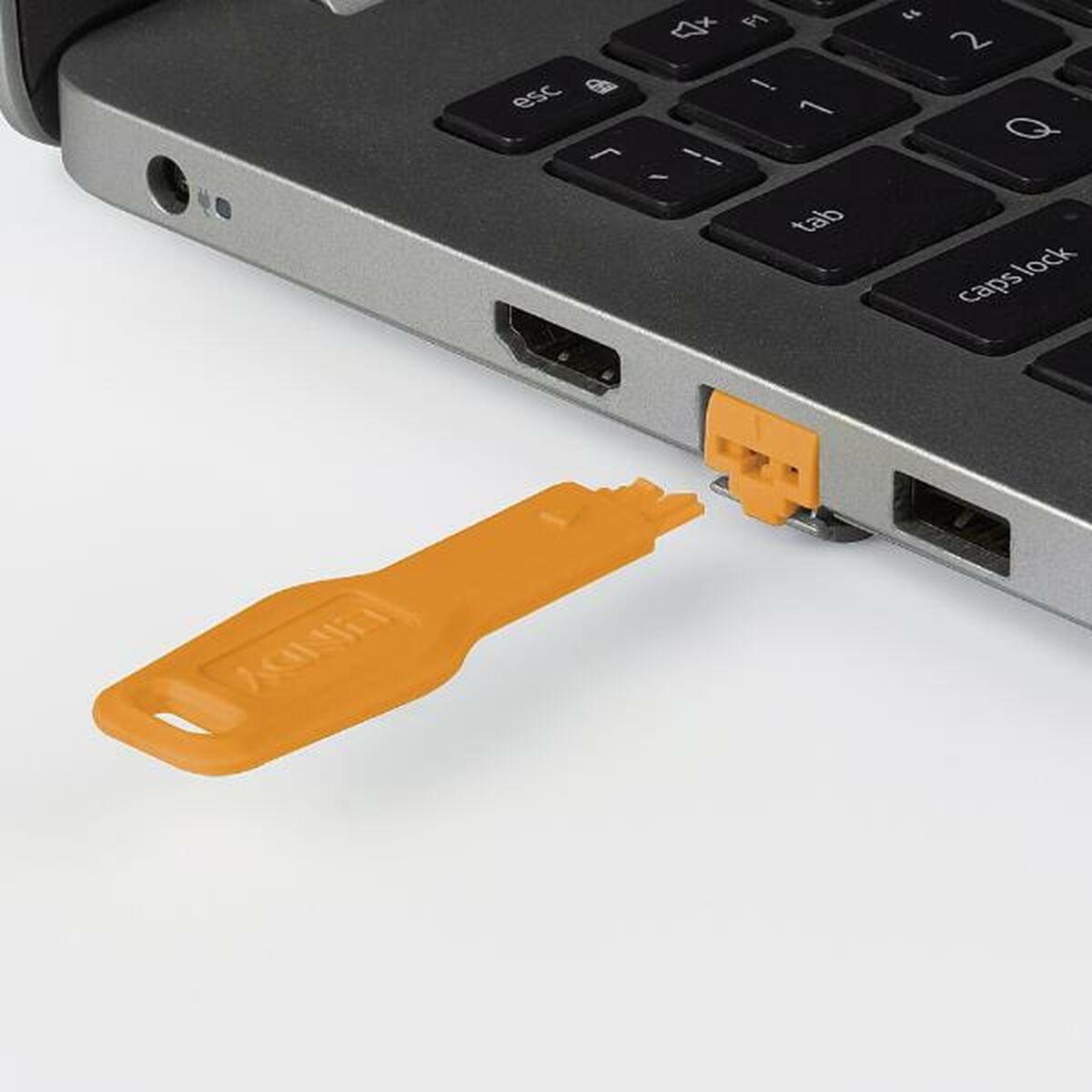 Cabo USB LINDY
