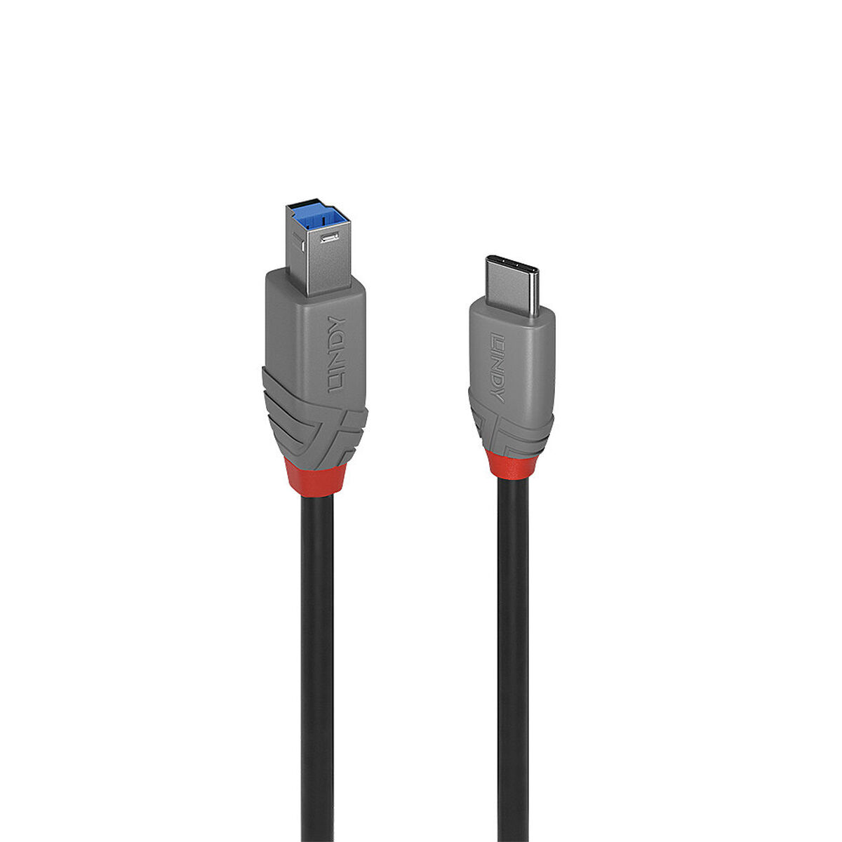 Cabo USB-C para USB B LINDY 50 cm Preto