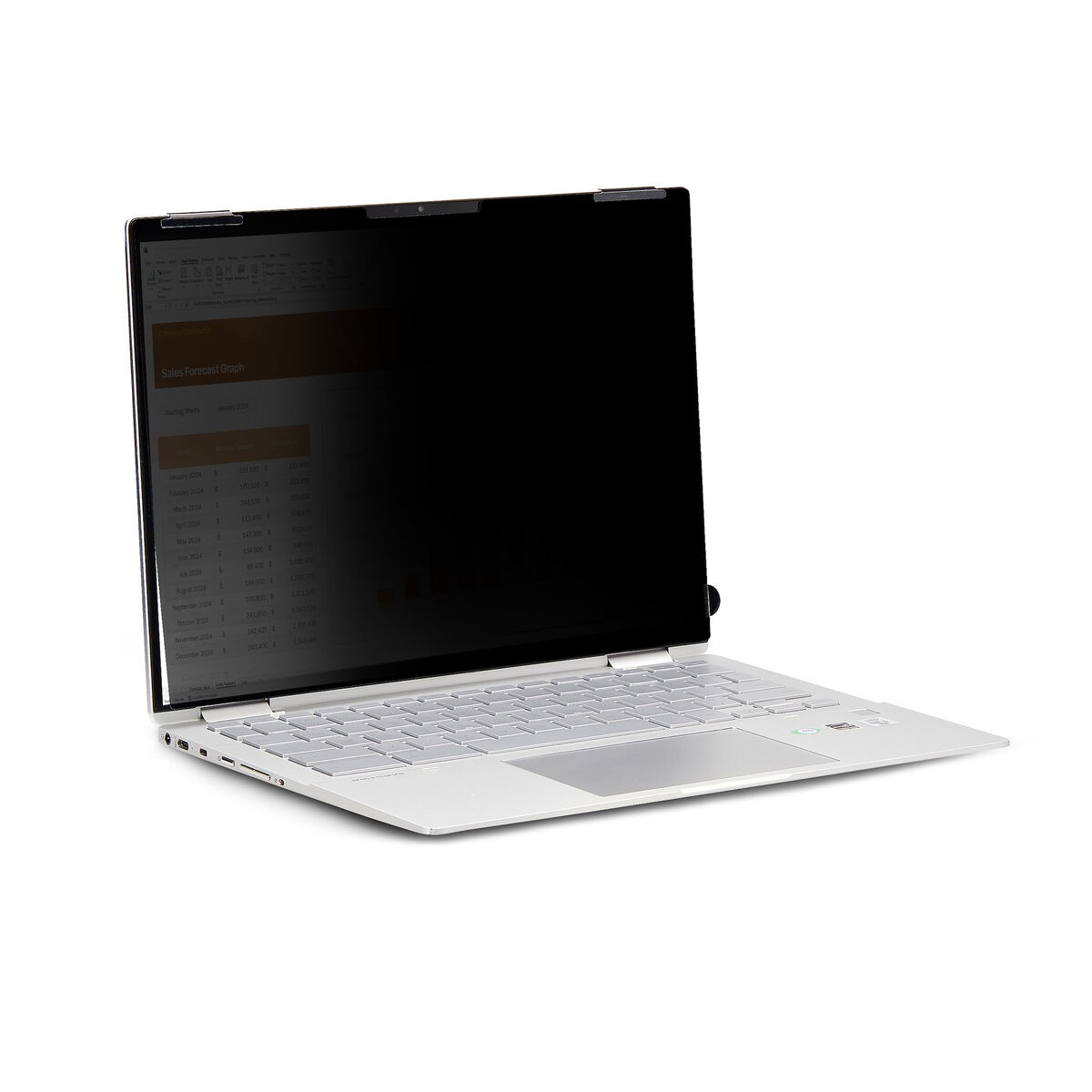 Cabo HDMI Startech 14LT-PRIVACY-SCREEN Preto