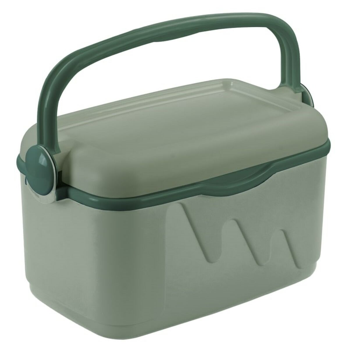 Frigorífico Portátil Curver 261196 Verde 10 L Plástico (1 Peça)