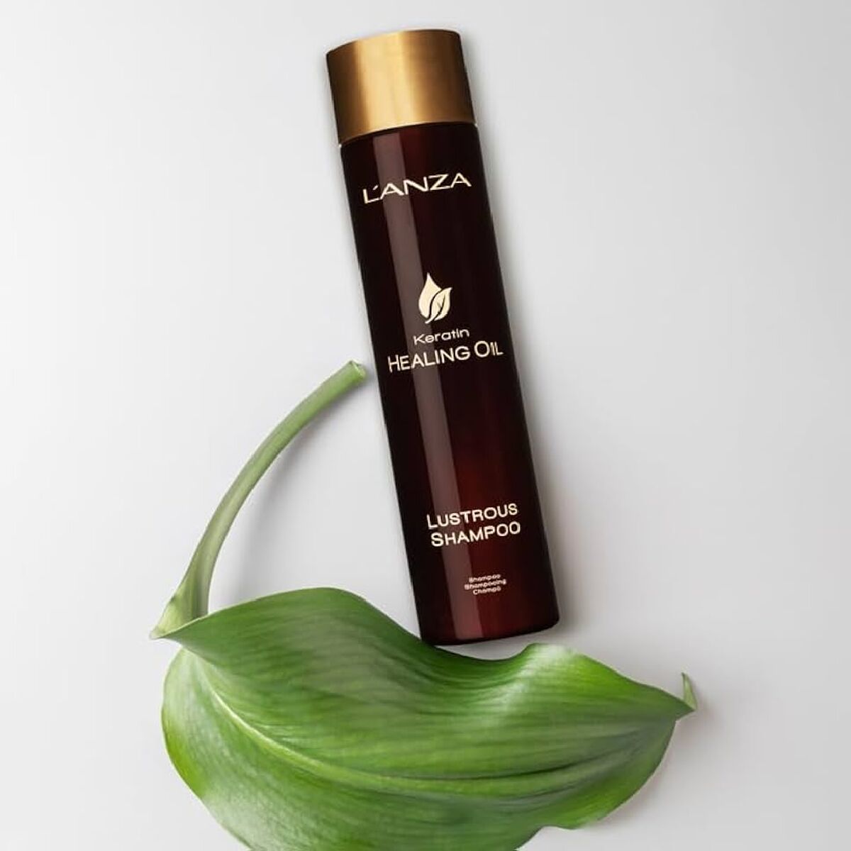 Champô L'ANZA 300 ml