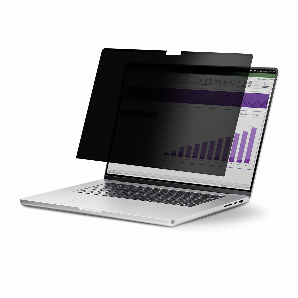 Suporte para laptop Startech 141T6-PRIVACY-SCREEN Plástico