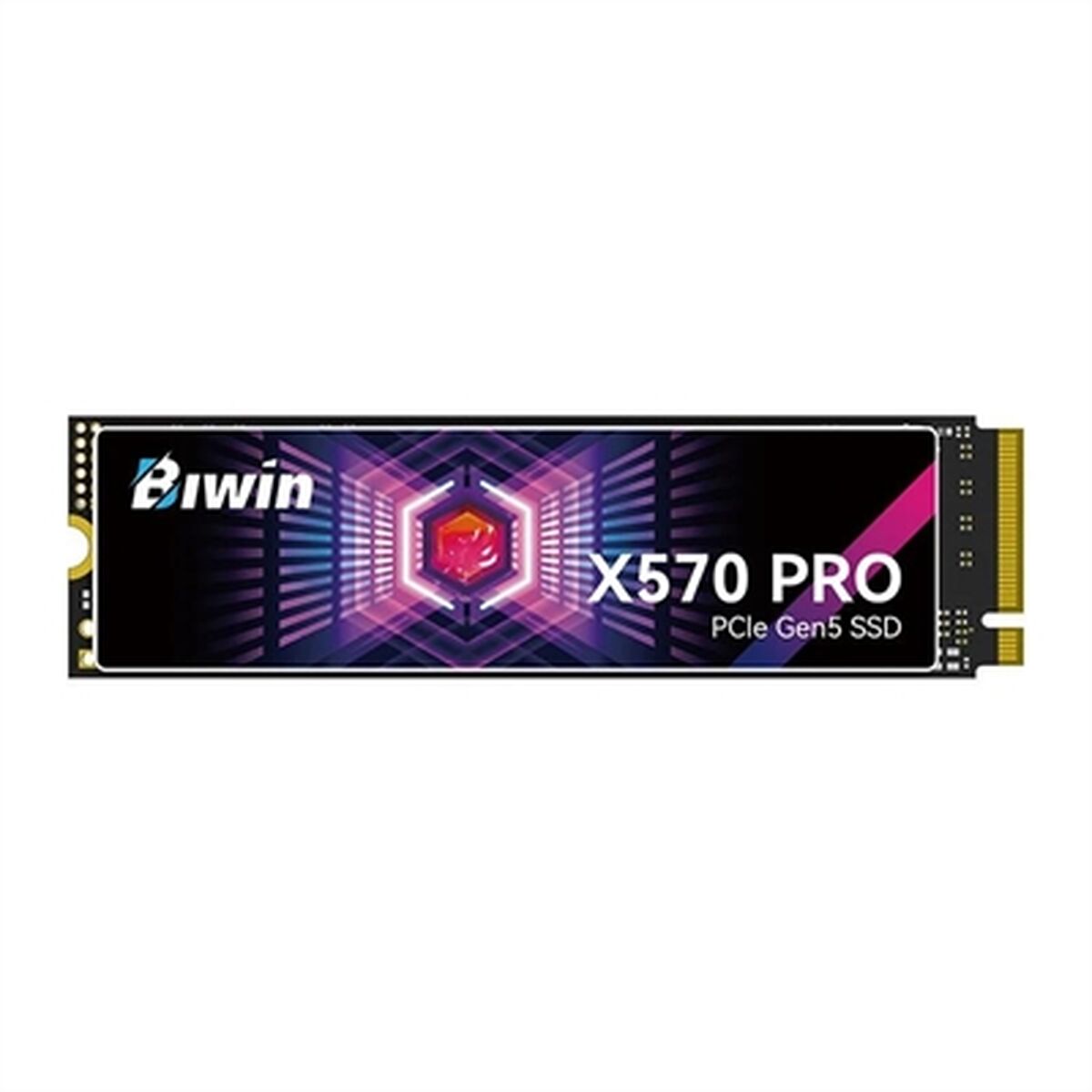 Disco Duro Biwin X570 Pro 4 TB SSD