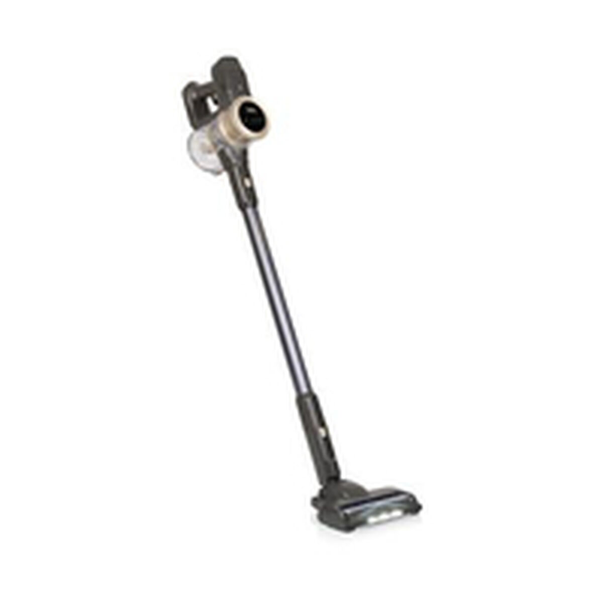 Aspirador Escova Princess 339395 300 W
