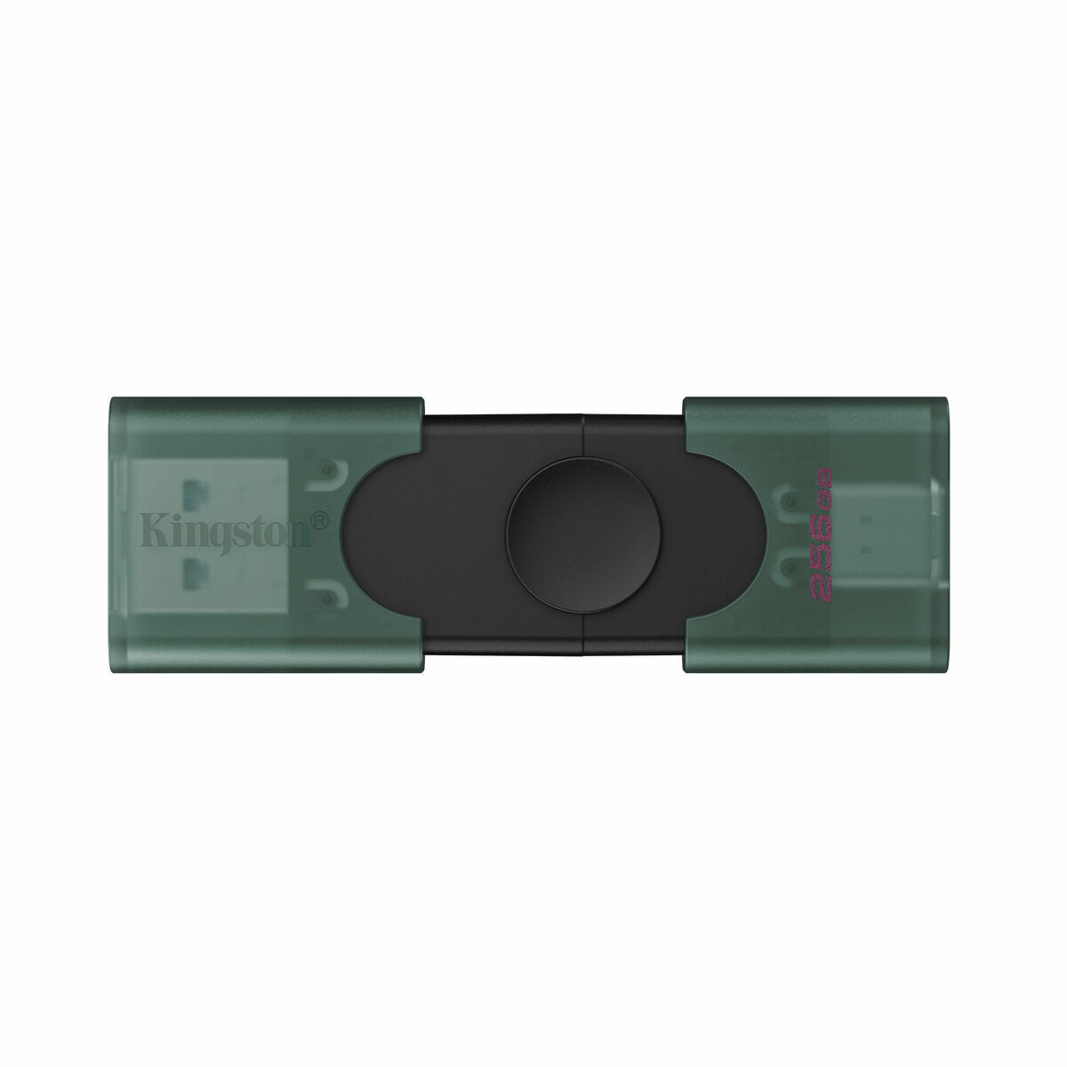 Memória USB Kingston DTDEG2/256GB 256 GB Preto Verde