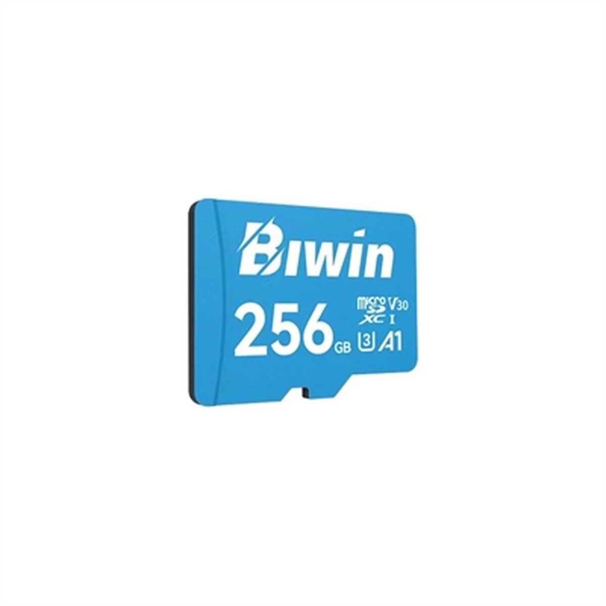 Cartão de Memória Micro SDXC Biwin MS100 256