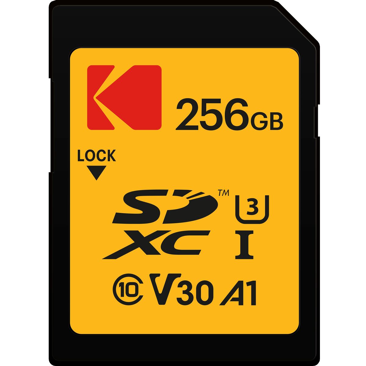 Cartão de Memória Kodak EKMSD256GXC10HPRK