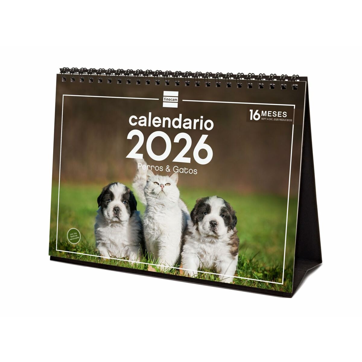 Calendário de Mesa Finocam Multicolor Papel 21 x 15 cm