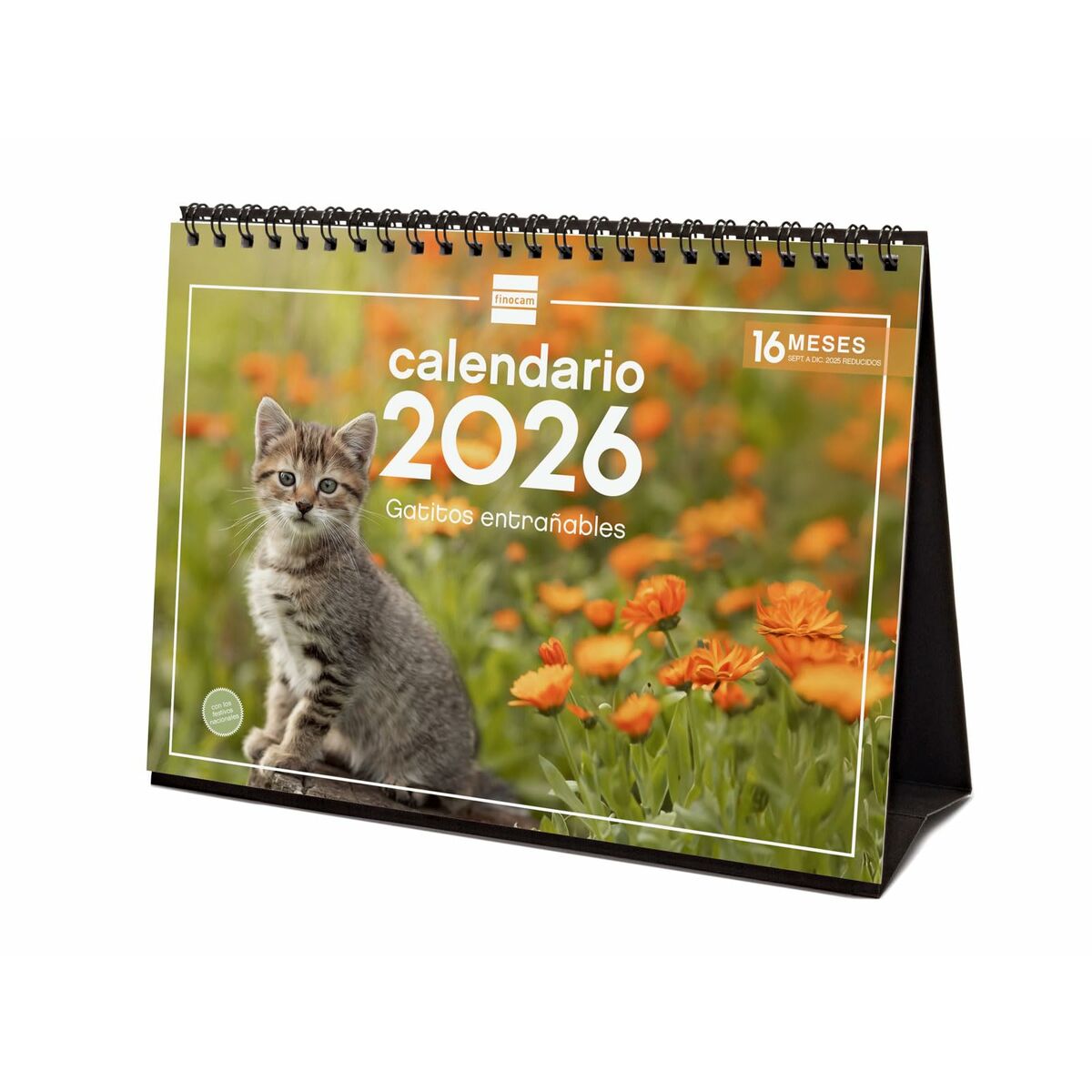 Calendário de Mesa Finocam Multicolor Papel 21 x 15 cm