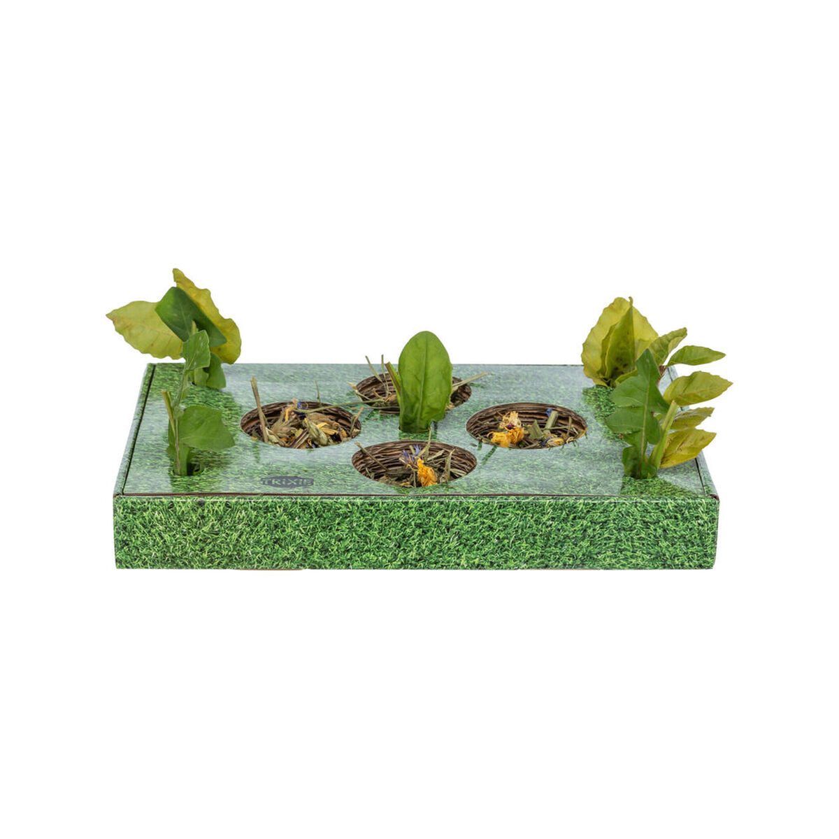 bandeja de aperitivos Trixie Verde Cartão 28 x 3,8 x 18 cm