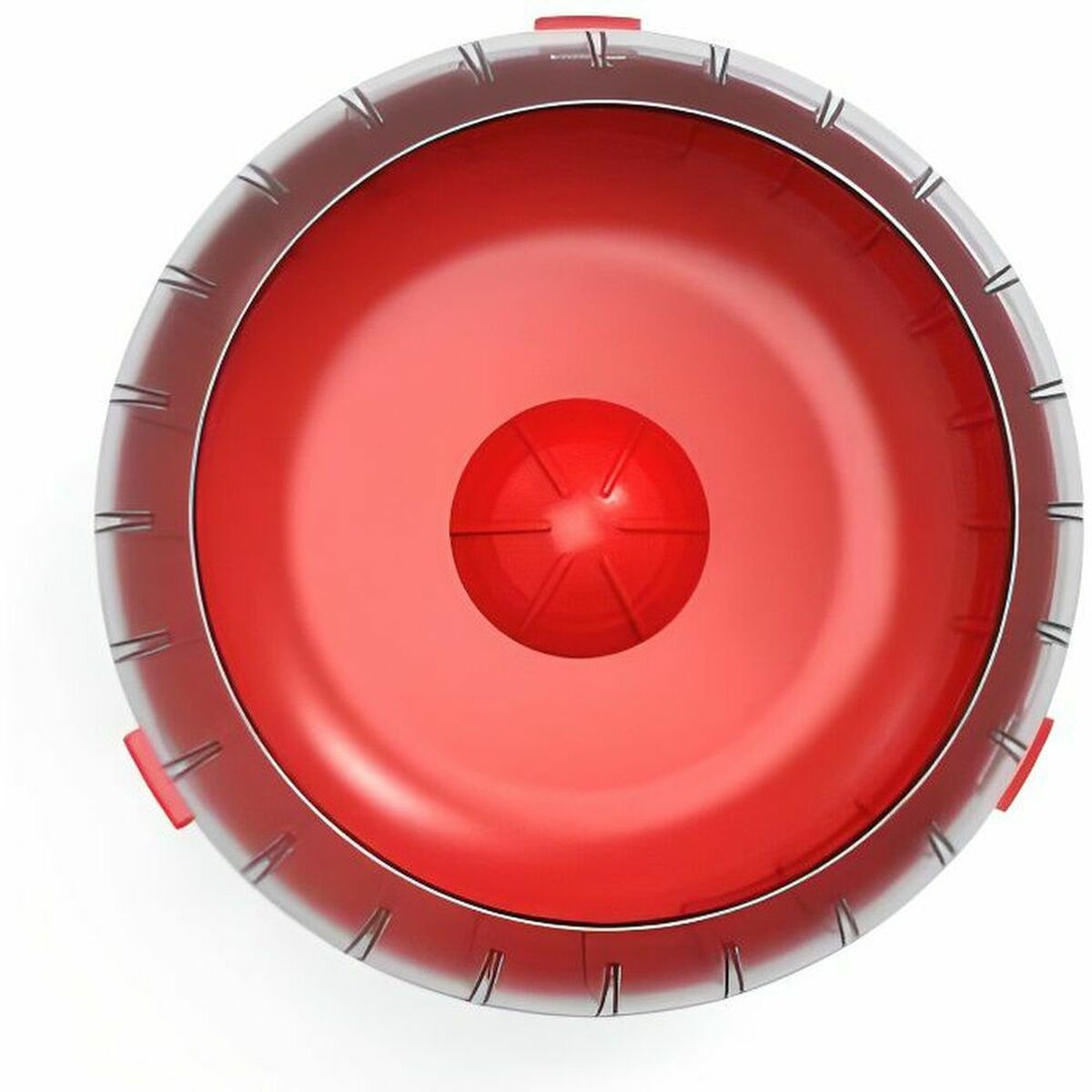 Roda de exercício Zolux
