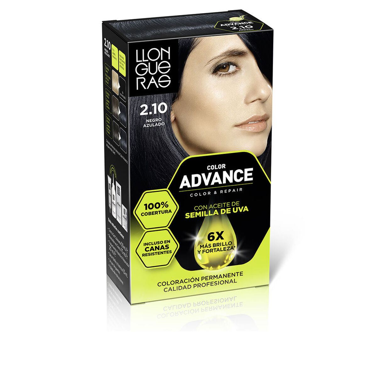Coloração Permanente Llongueras COLOR ADVANCE Nº 2,10