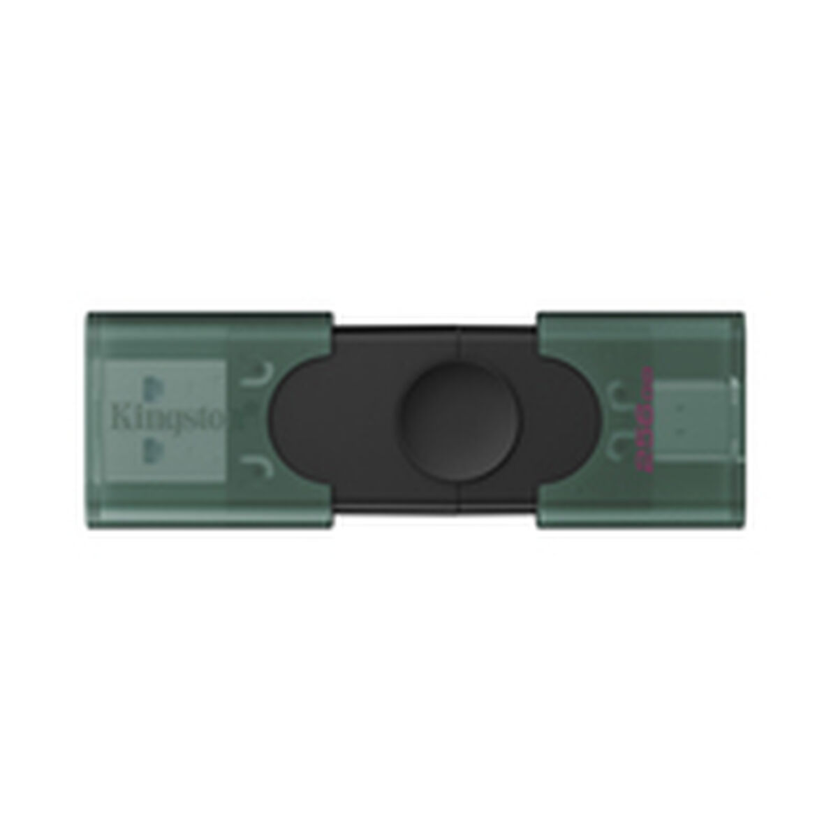 Memória USB Kingston DTDEG2/256GB Preto Verde 256