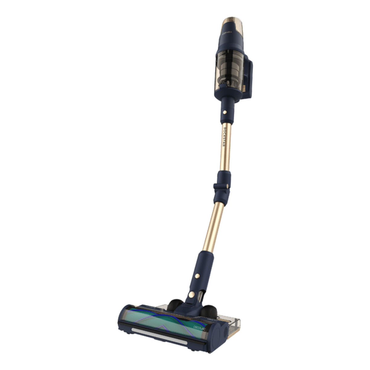 Aspirador Escova Cecotec RX70 AquaPet Flex 800 W