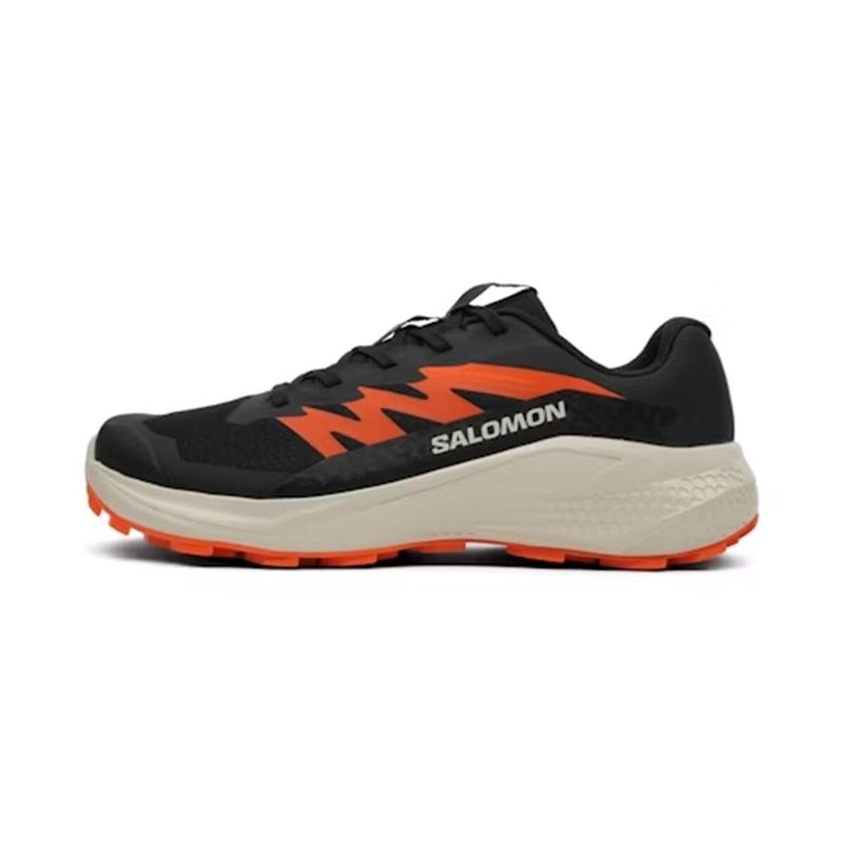 Tênis de trail para homem (corrida em montanha) Salomon Alphaglide Preto