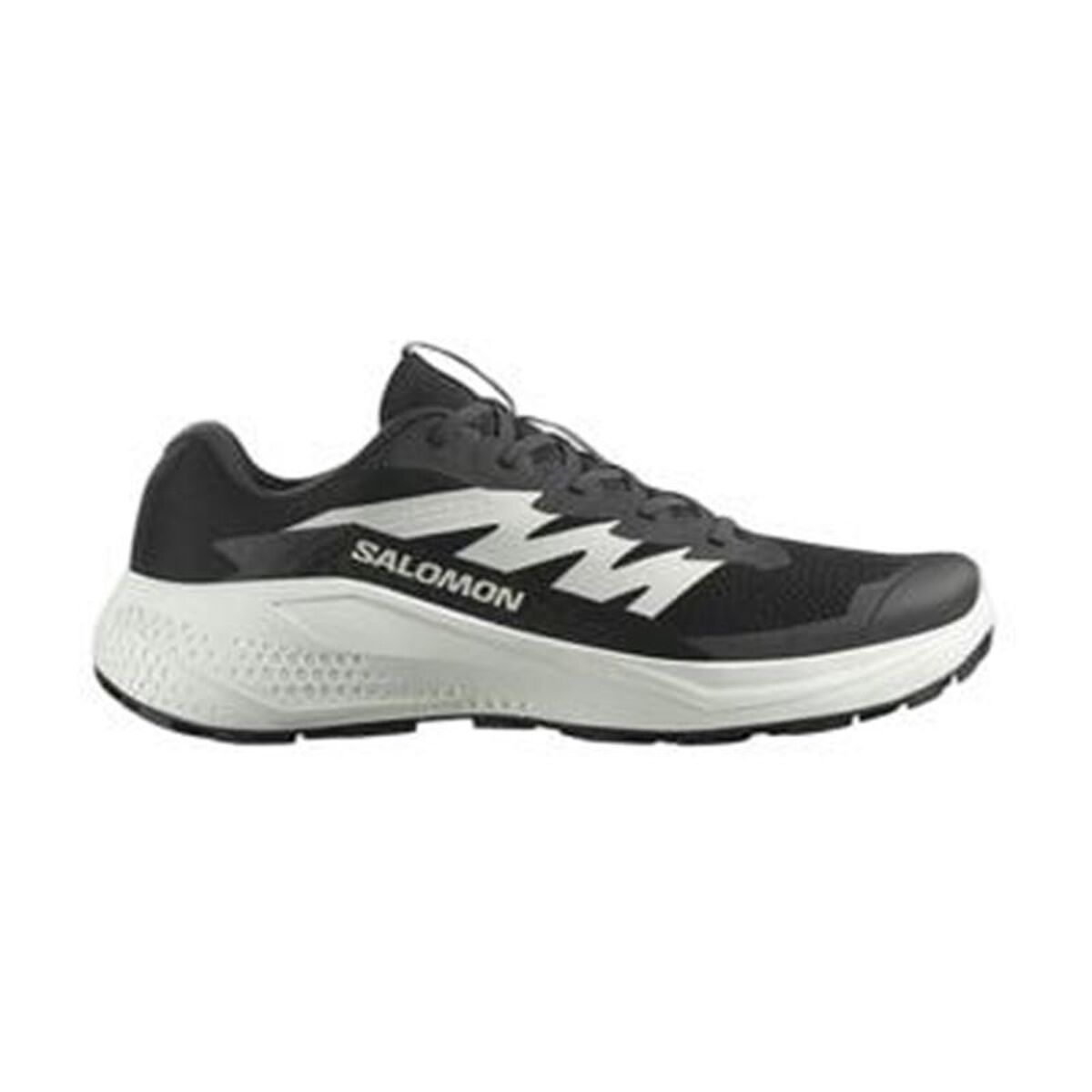 Tênis de trail para homem (corrida em montanha) Salomon Alphaglide Preto