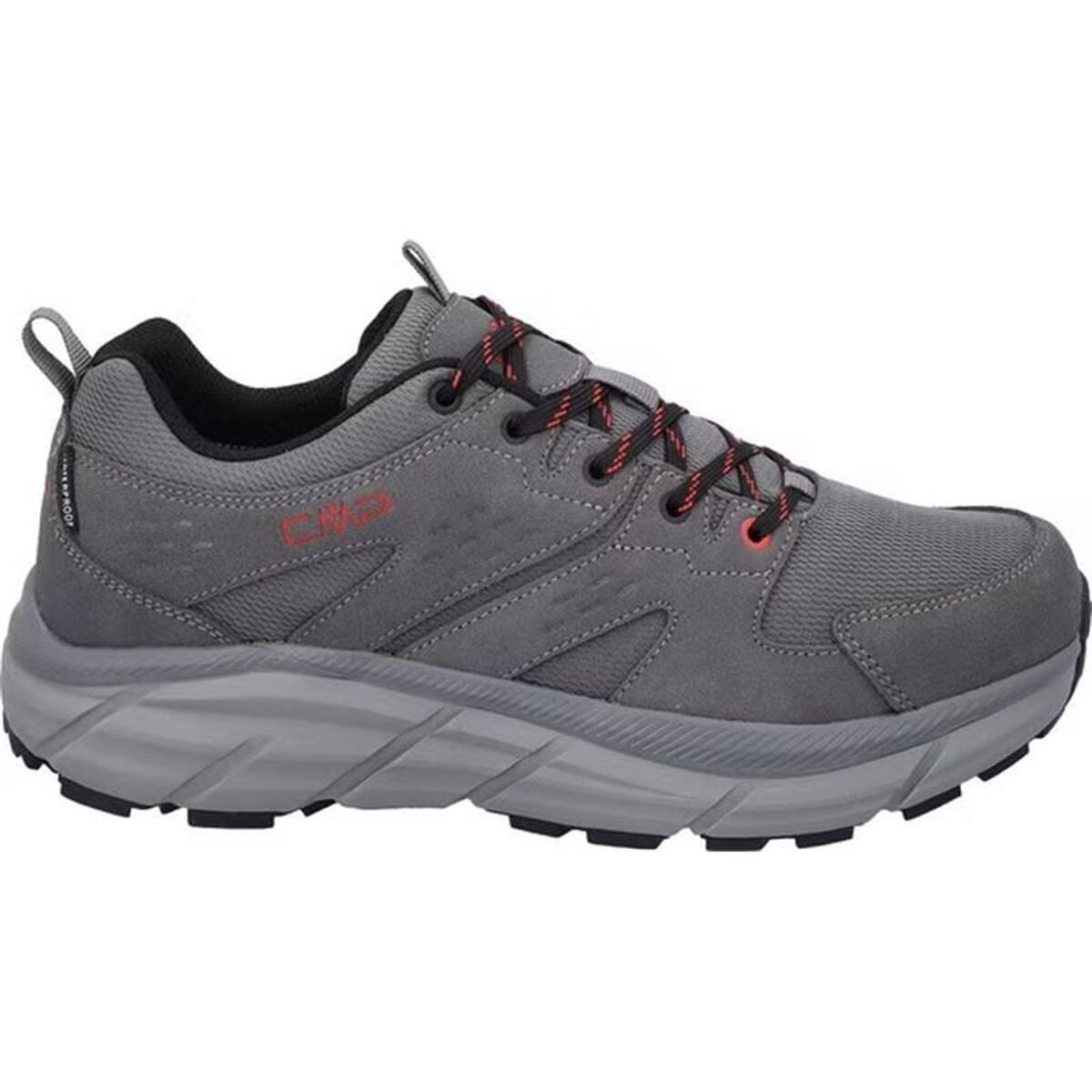 Sapatilhas de Caminhada Homem Campagnolo Kamsel Low Cinzento