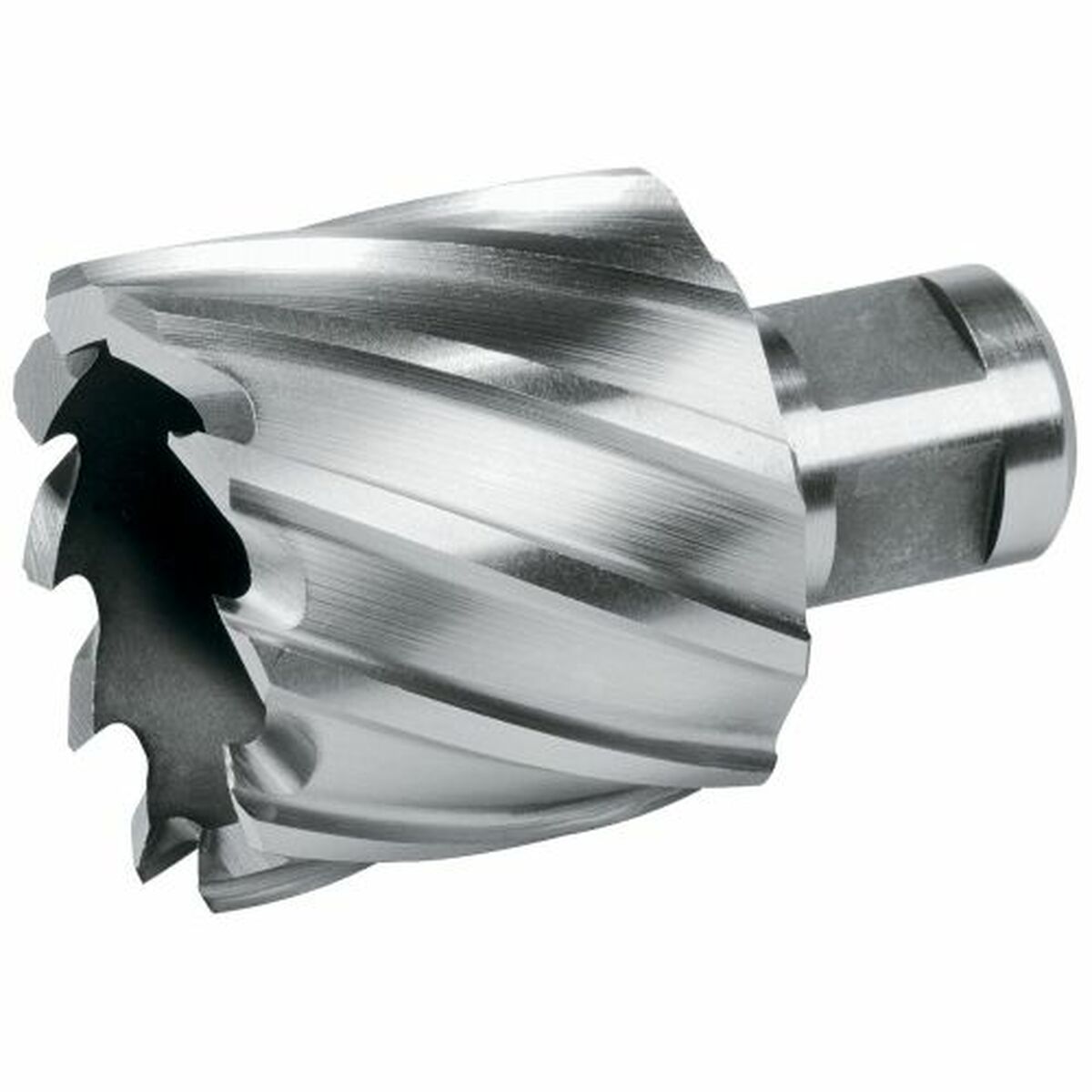 Broca oca TERRAX 22 mm