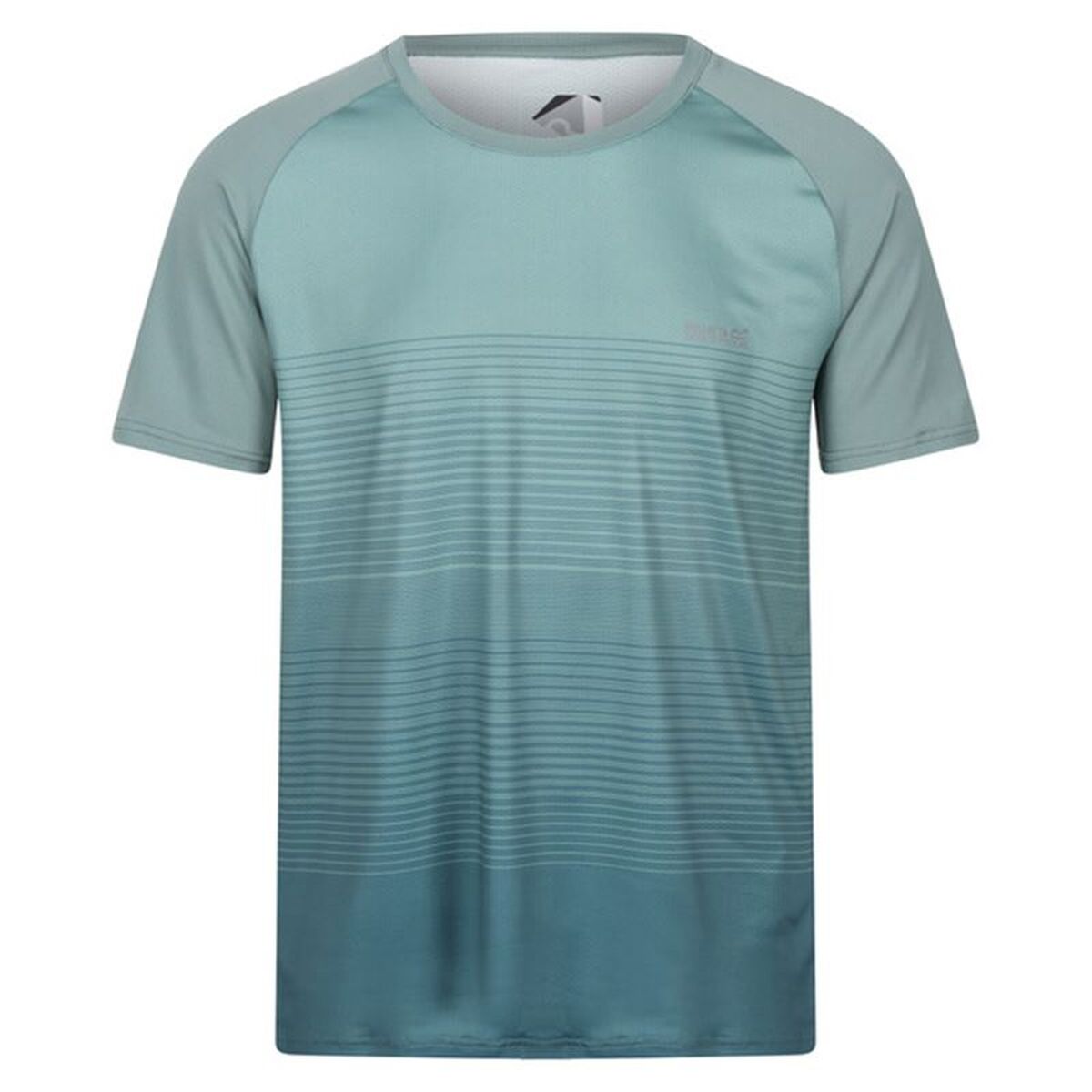 T-shirt Regatta Pinmor Água-marinha