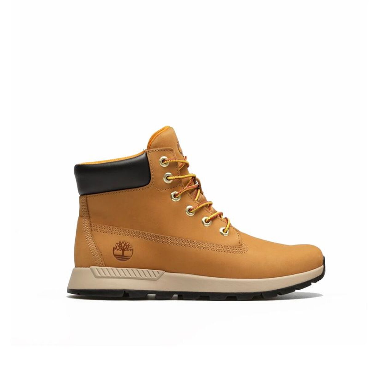 Botas de Mulher Timberland Ktrk Mid Lace Sneaker Castanho