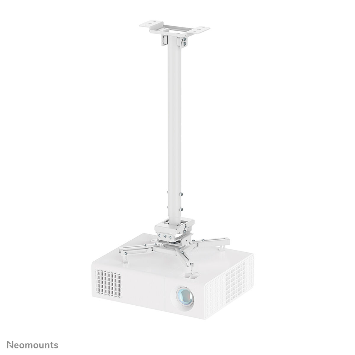 Suporte de Mesa para Ecrã Neomounts CL25-550WH1