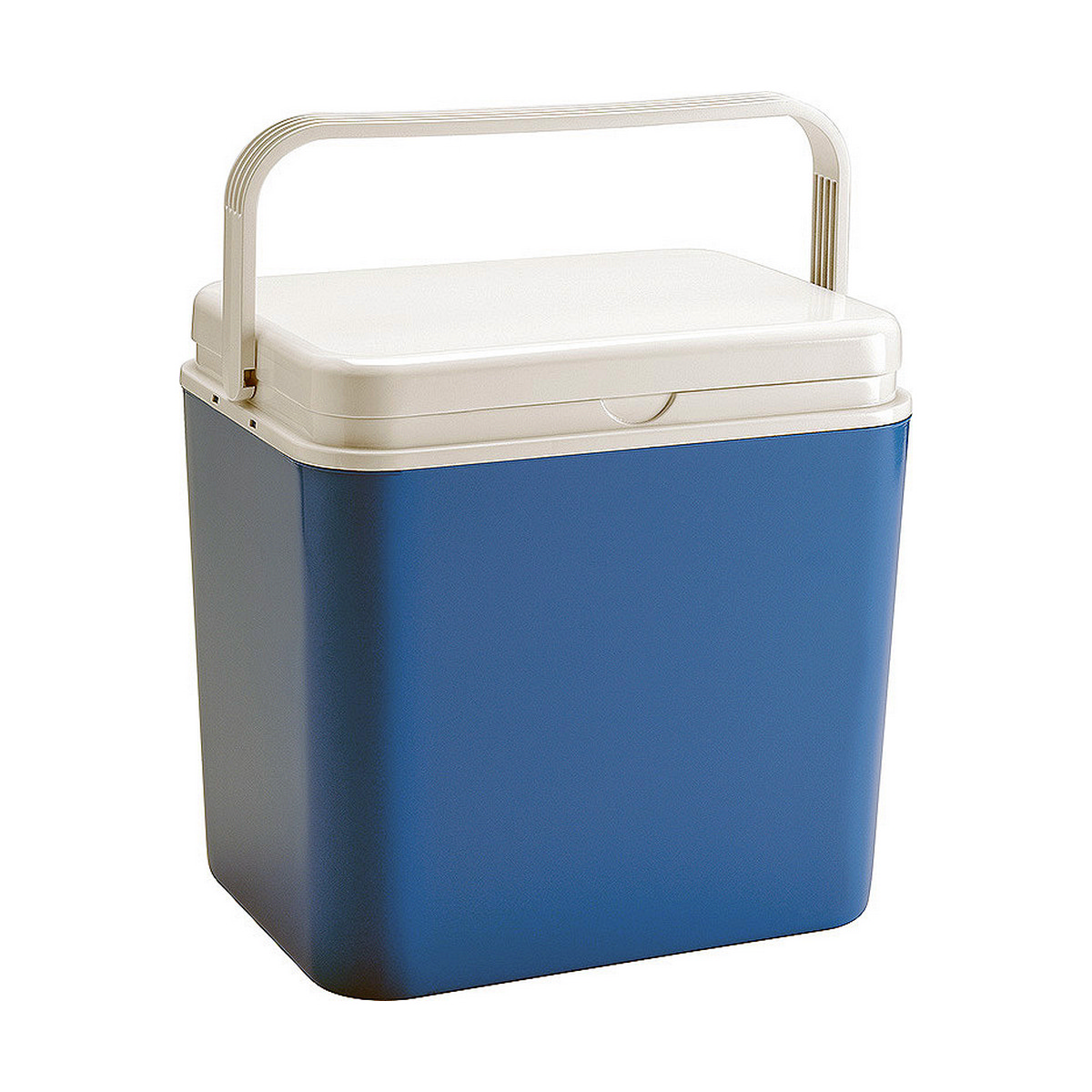 Geladeira 172-5038 Plástico Azul PVC (30 L) (30 L)
