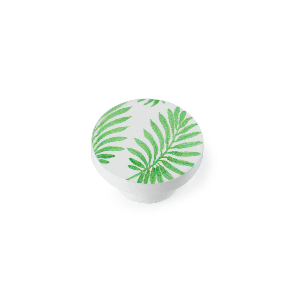 Manípulo Rei e295 Verde madeira de faia Ø 38 x 22 mm (2 Unidades)